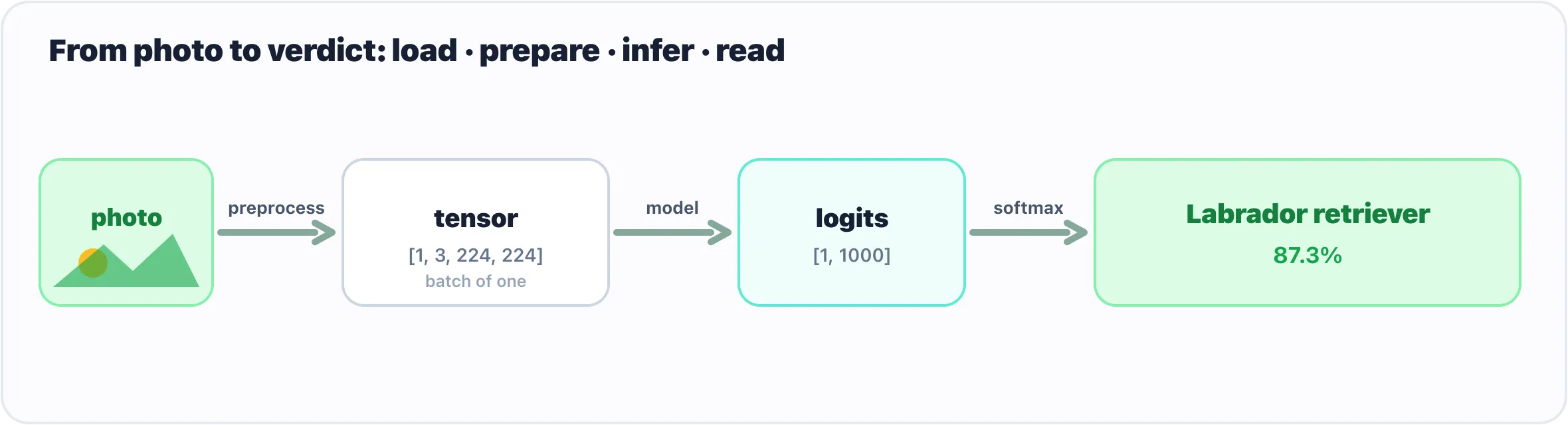 the photo-to-verdict pipeline